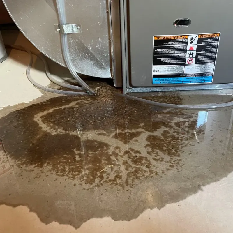 Pipe Burst and Leak Restoration in Fergus County, MT