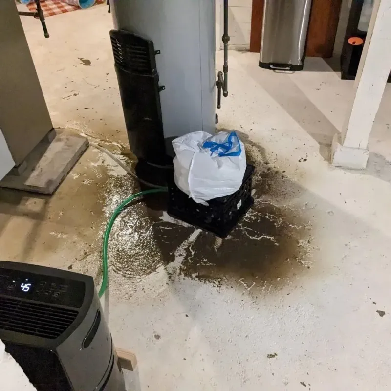 Sewage Backup Cleanup Service in Fergus County, MT